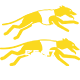  5597